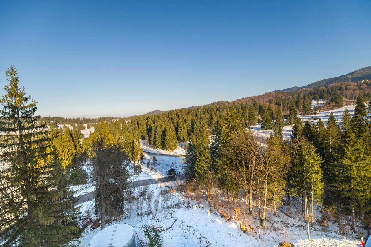 Forest Corner In Silver Mountain Of Poiana Brasov Eksteriør bilde